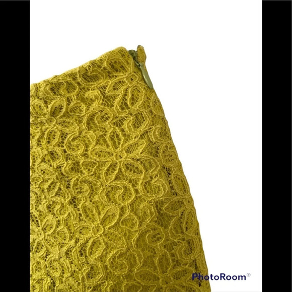 Anthropologie HD In Paris Chartreuse Lace Skirt Sz 4 - Picture 3 of 8